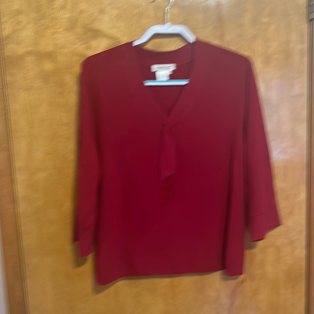 V-neck sweater